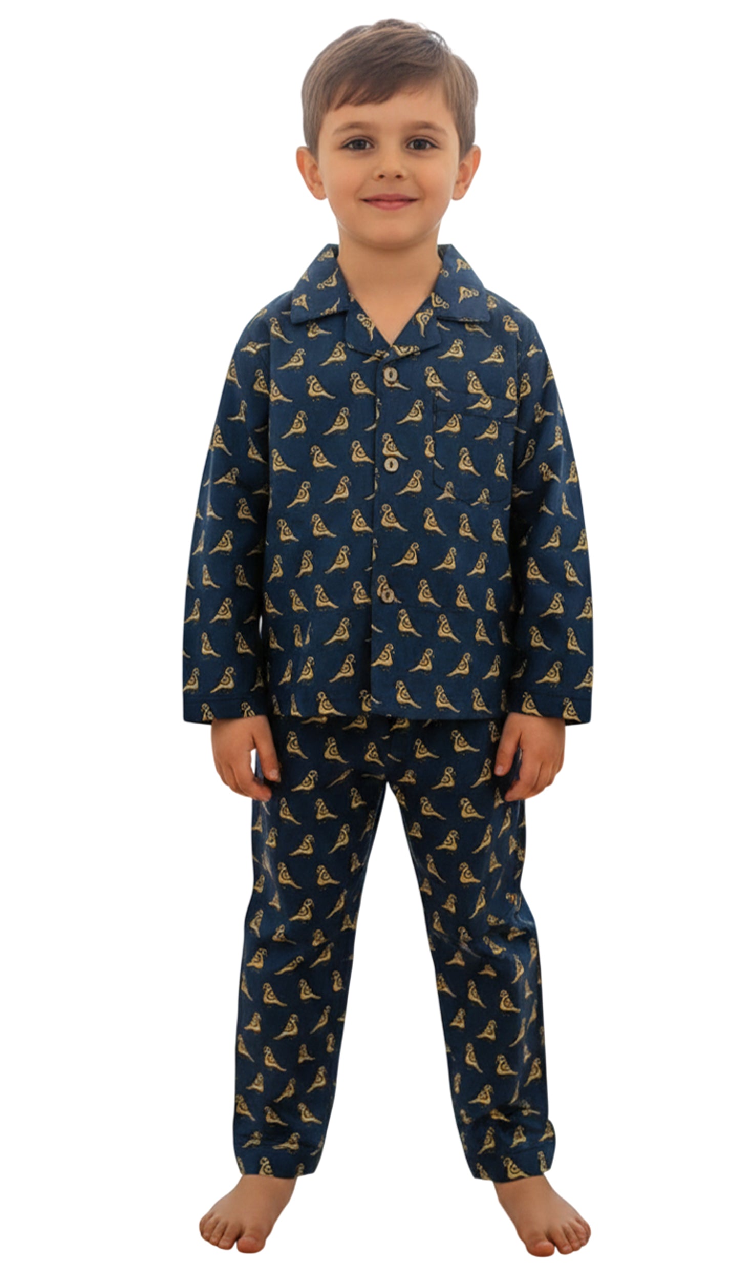 Boys Navy Blue & Bird Print Pure Cotton Night Suit
