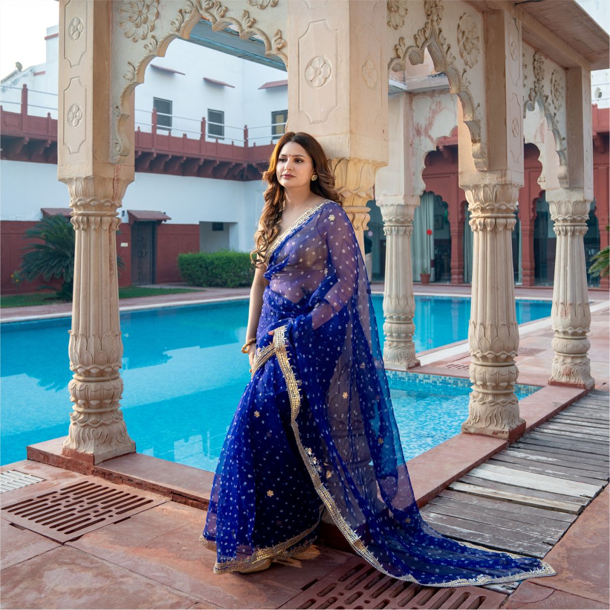 Pure organza saree party wear