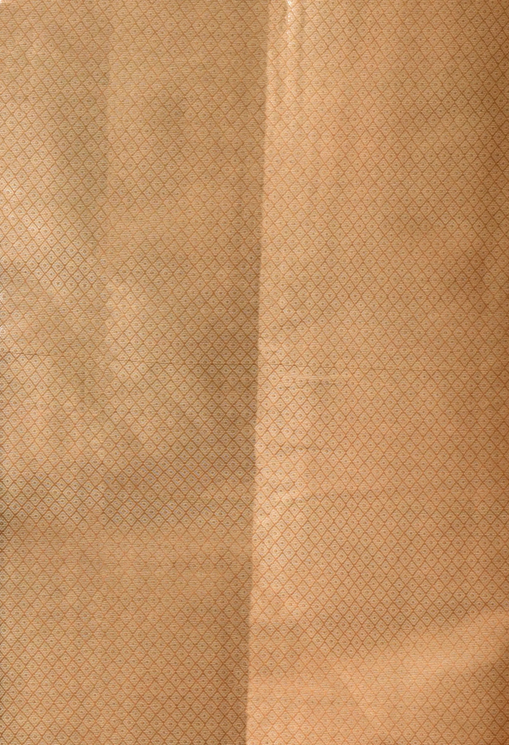 Latest festive saree collection 2025