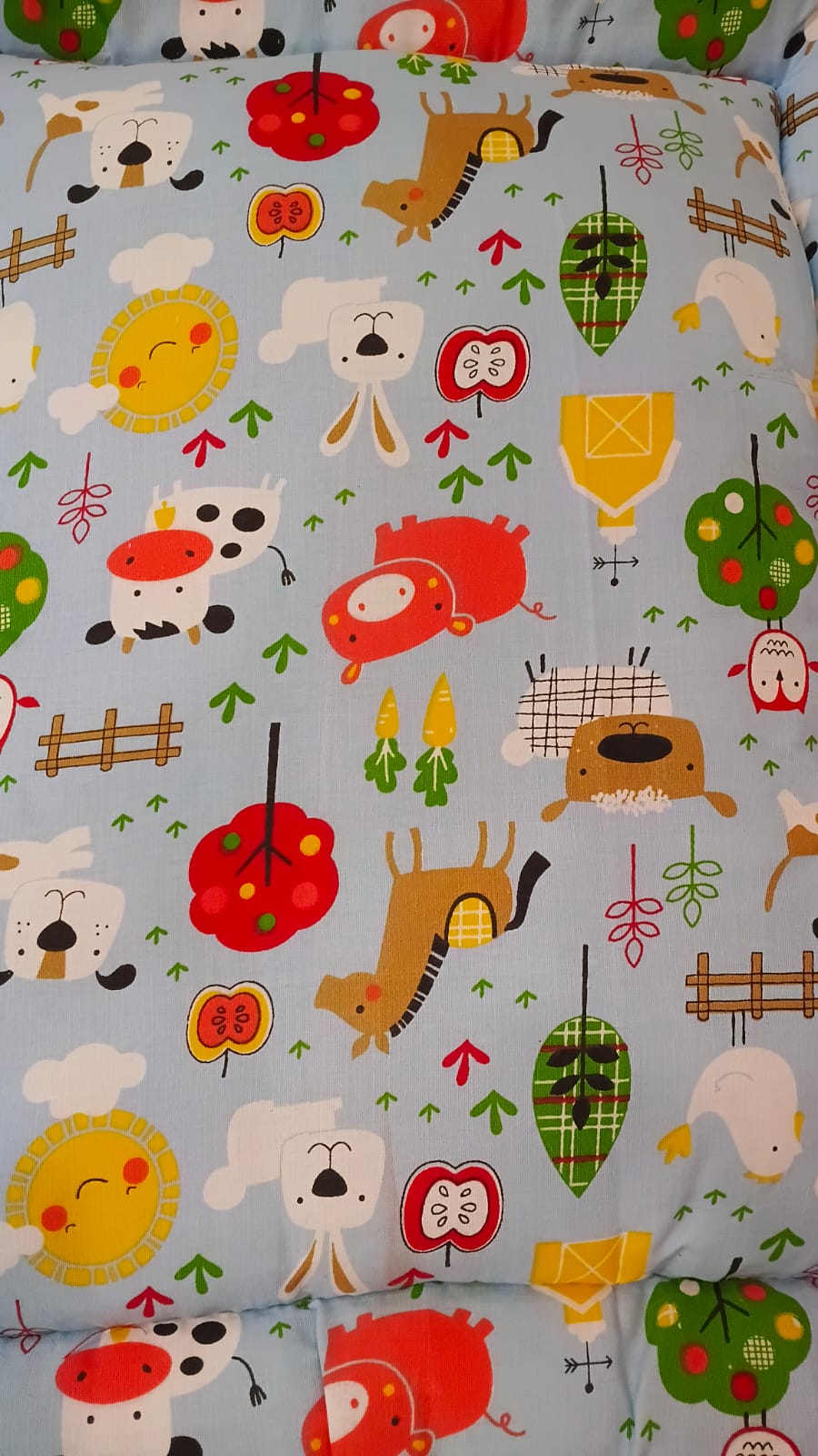 Premium Padded Baby Sleeping Bag & Carry Nest