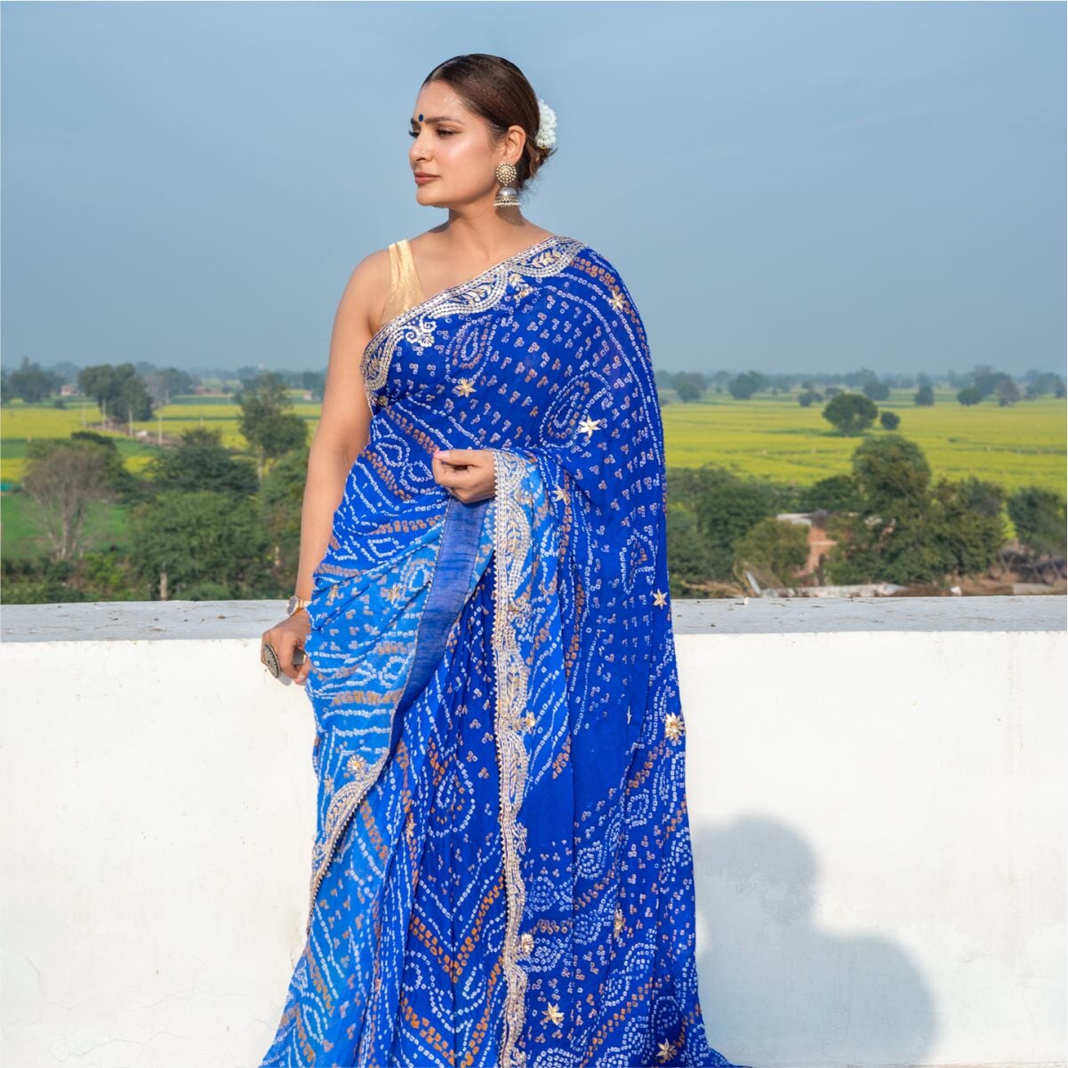Pure Lightweight chiffon saree
