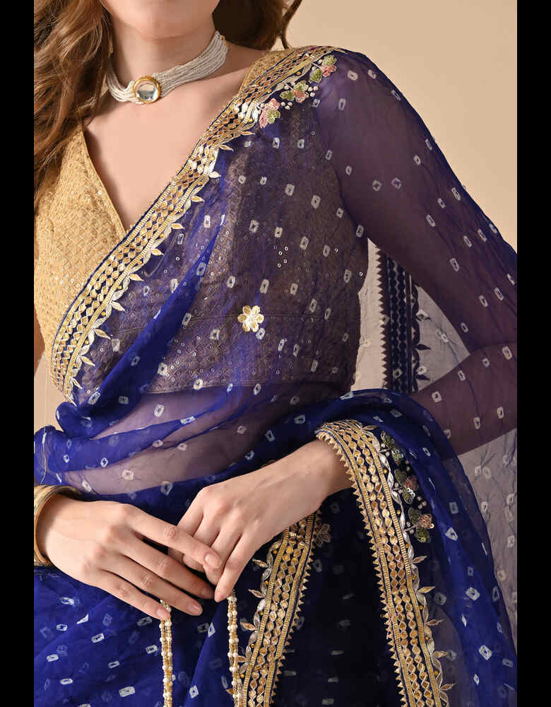 Pure organza saree party wear